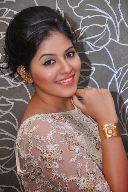 Tamil Actress Anjali New Pics In Saree 8